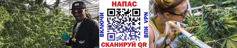 МАРИХУАНА конопля Харабали