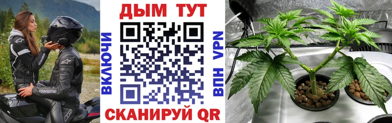 Бошки марихуана конопля  цена   Харабали 